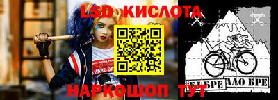 шишки Лесосибирск