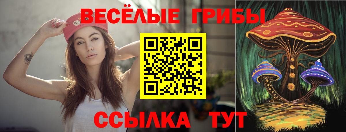 Тулун  Галлюциногенные грибы мицелий  Вход с VPN 