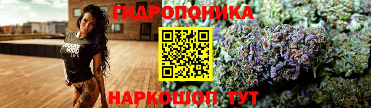 Конопля ГИДРОПОН  Канабис сатива  Тулун  Бошки марихуана конопля  Конопля семена  Вход с VPN 